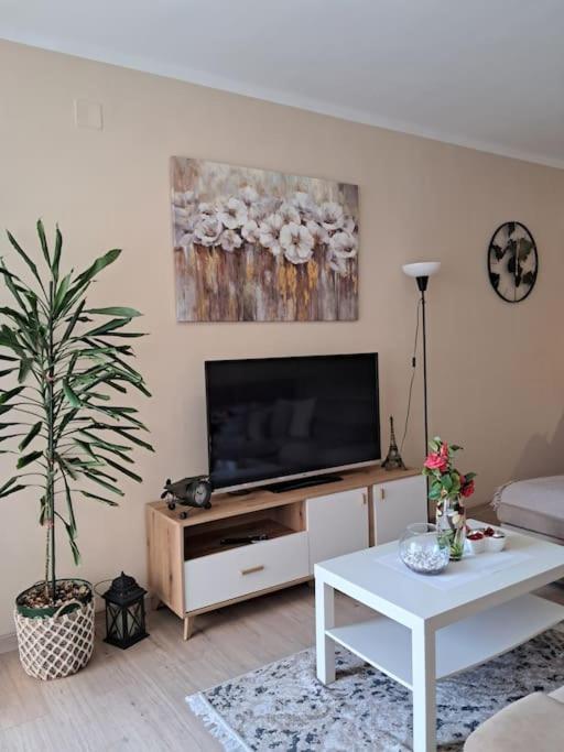 Holiday Home Apartment Budva Luaran gambar