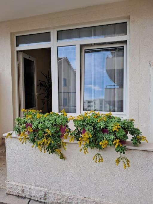 Holiday Home Apartment Budva Luaran gambar